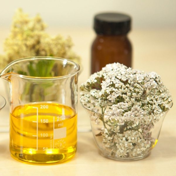 Έλαιο Βάσης Αχιλλέα 50ml