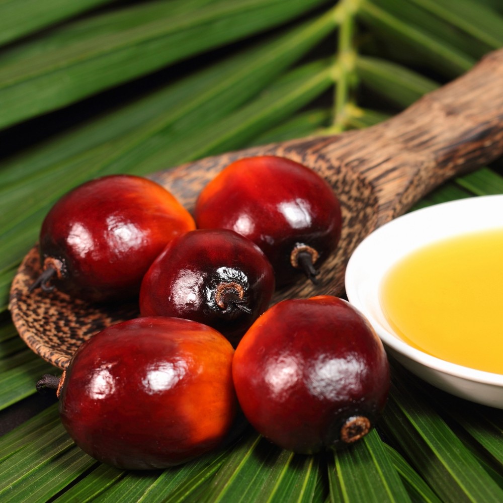 Έλαιο Βάσης Φοινικέλαιο Refined 250 gr