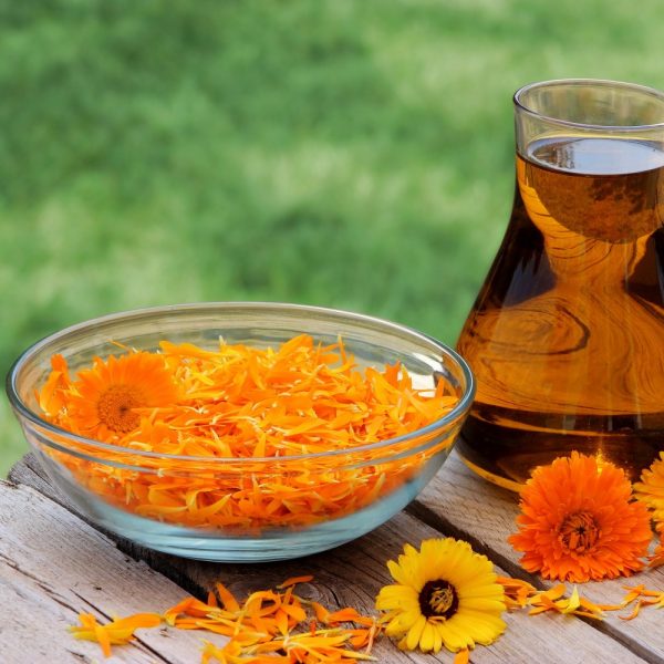 Έλαιο Βάσης Καλέντουλα 100ml