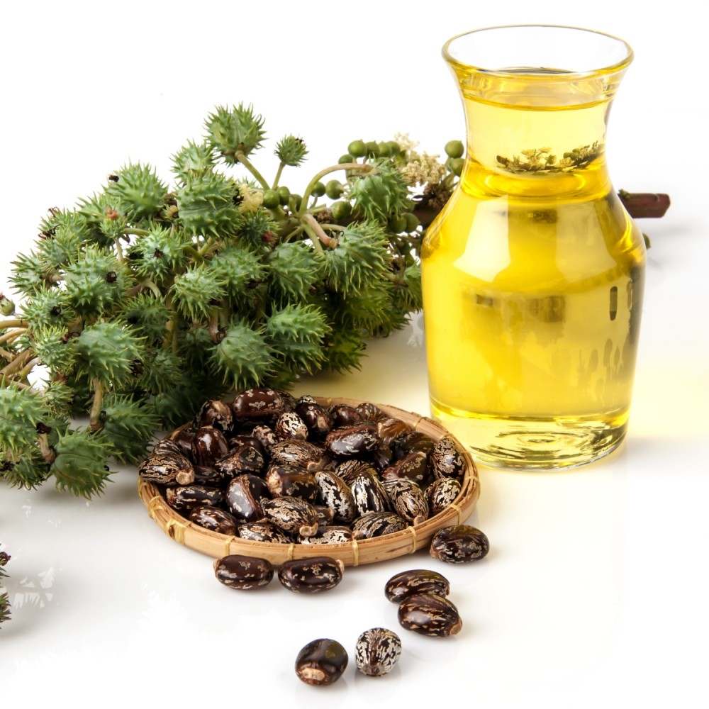 Έλαιο Βάσης Καστορέλαιο 100 ml