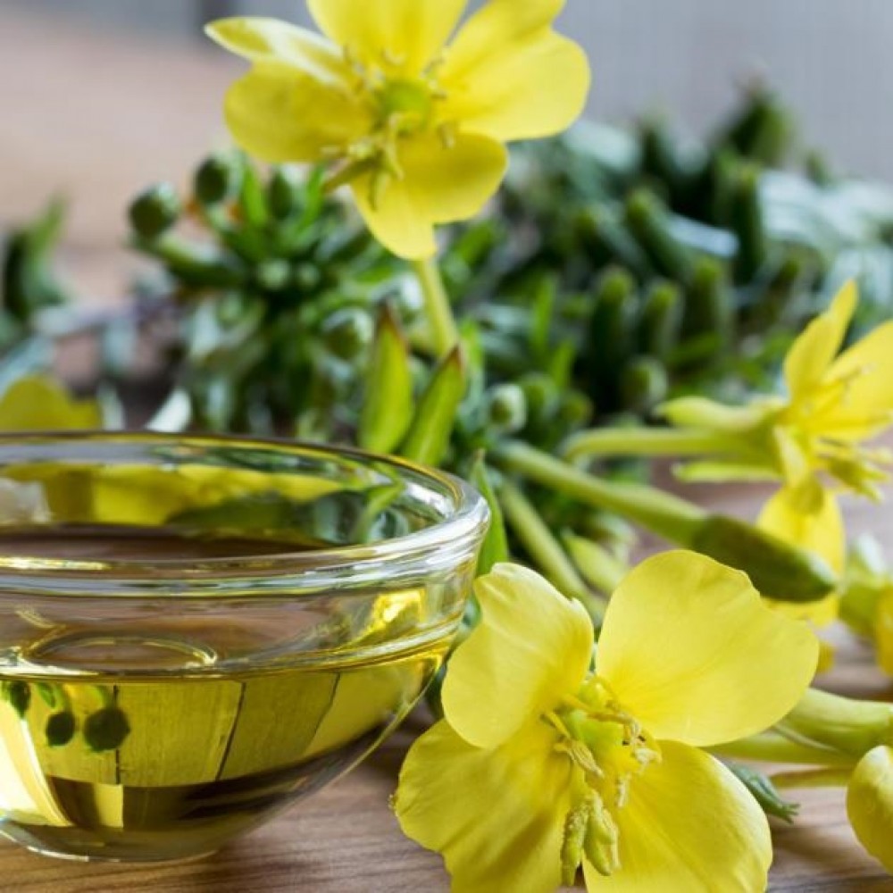 Έλαιο Βάσης Νυχτολούλουδο 50 ml