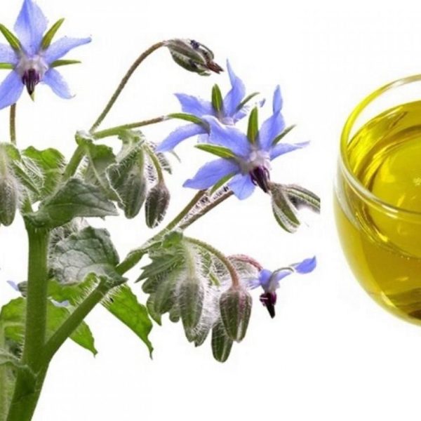 Έλαιο Βάσης Μποράγκο 100 ml